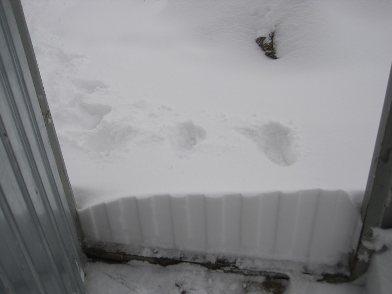 а у нас ... зима