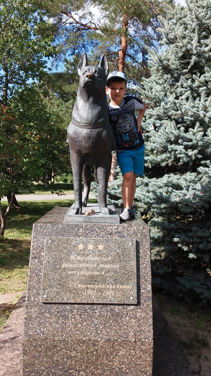 мой Волгоград