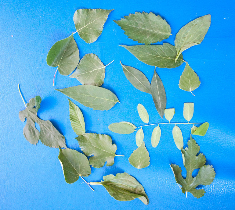 Монтессори-июнь 2