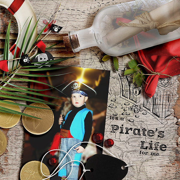 Пиратская жизнь