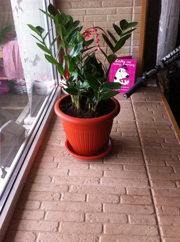 Взлет 72. Шаг 7