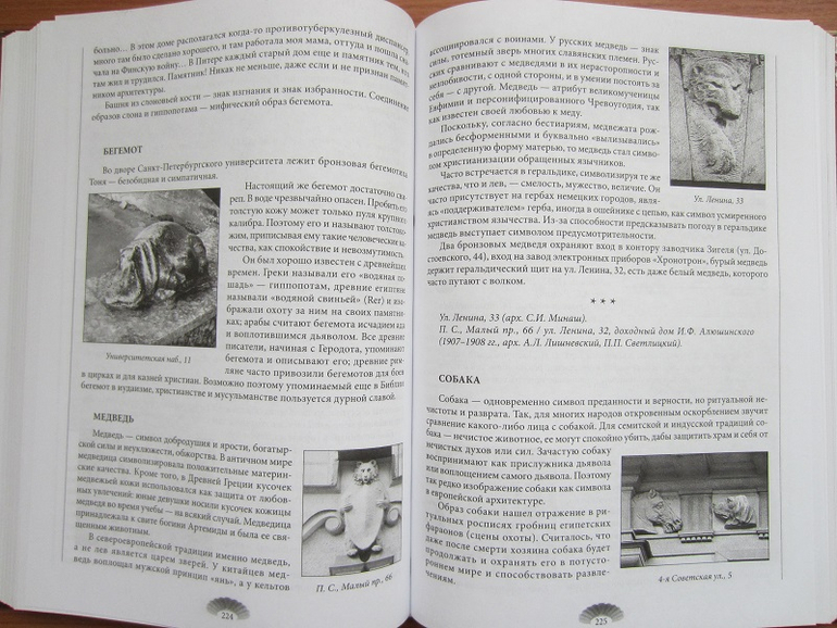 Книжный салон. Послесловие.