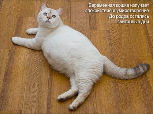 20!!! серединка - 51 ответов форум Babyblog