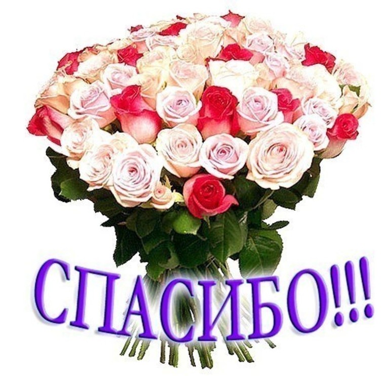 1740bb9aea49e26e6cdd48ee2065823e.jpg