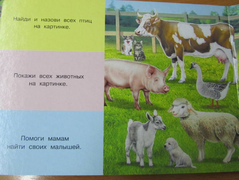 Бюджетные картонки для малышей