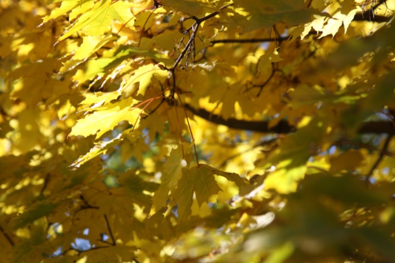 a22901f03055caa9e8e268c19abb5d16.jpg