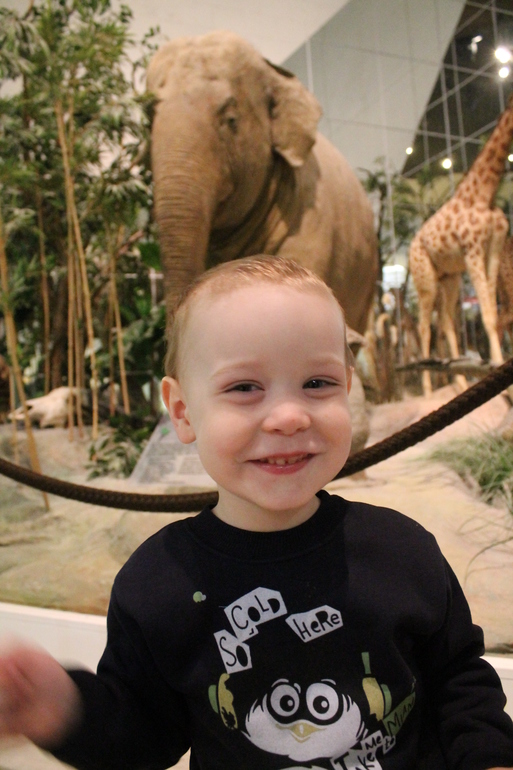 Дарвиновский музей.