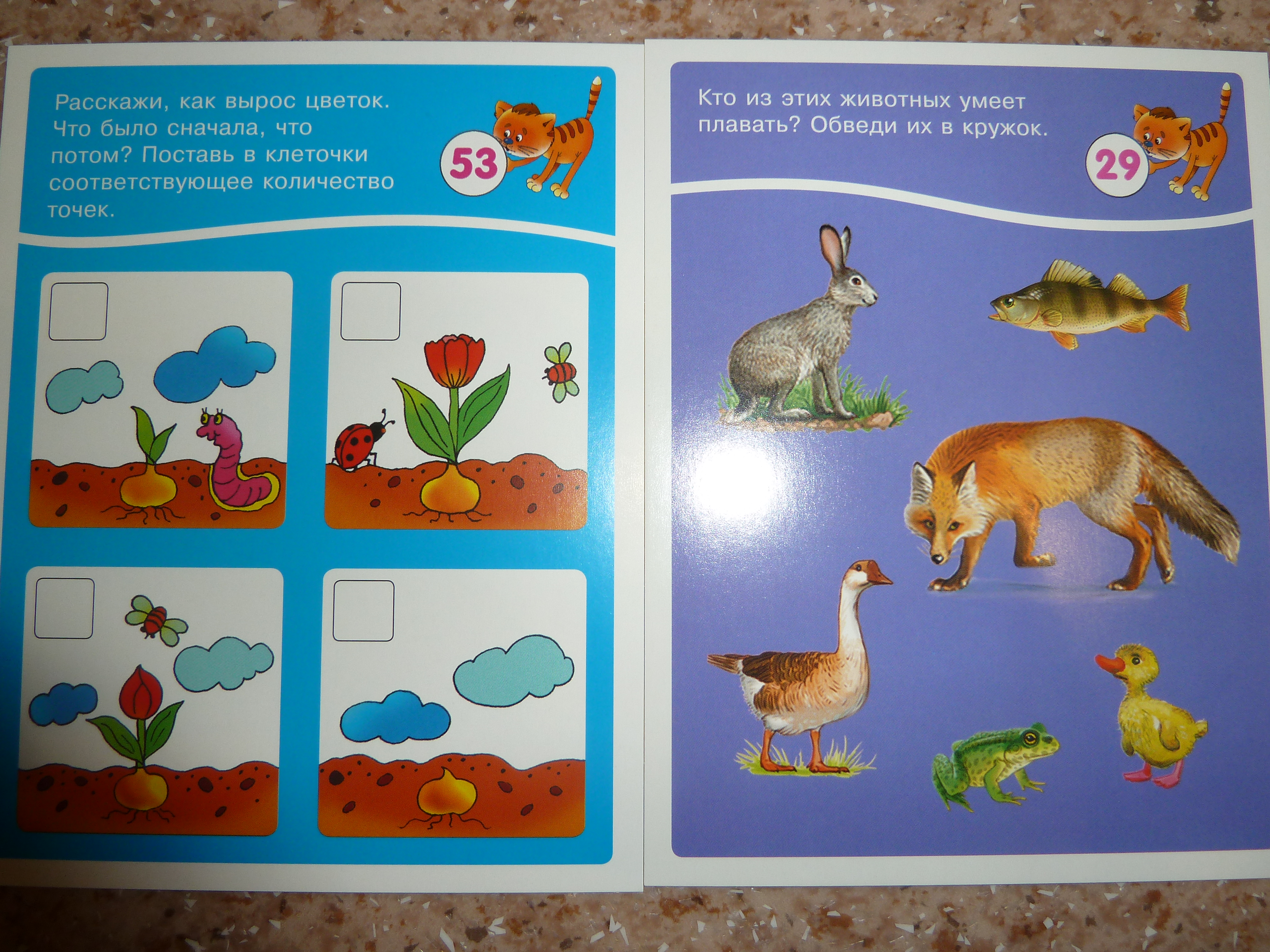 Занимательные карточки