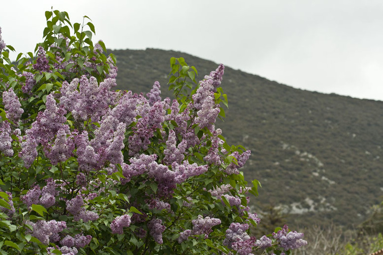 Экзаменационная работа, поток 23.Предмет экзамена - "Стул,табурет"