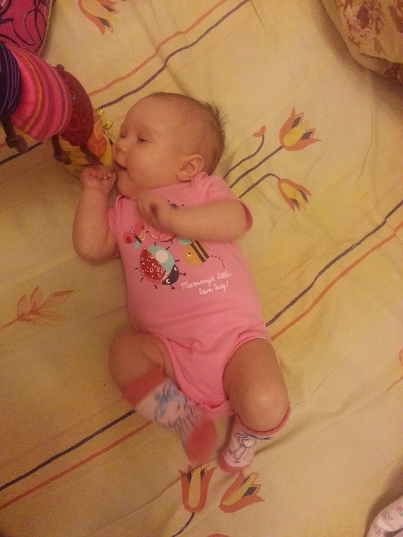 2 месяца + 11 дней