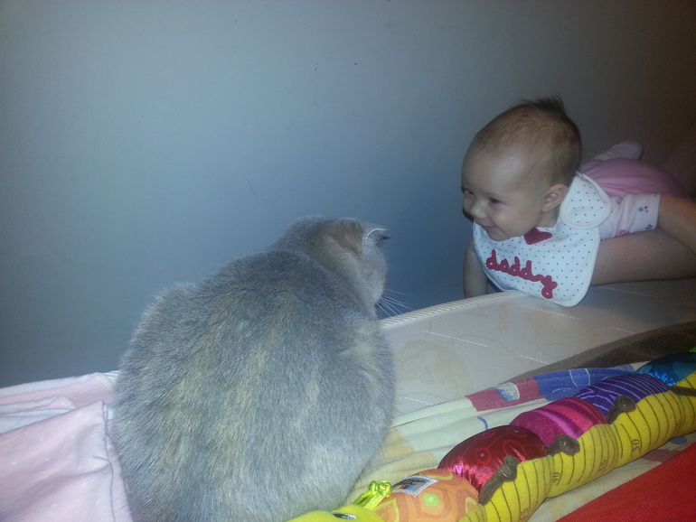 2 месяца + 11 дней