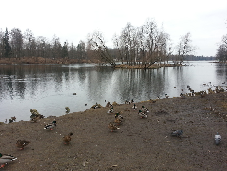 отчет 3 месяца)))