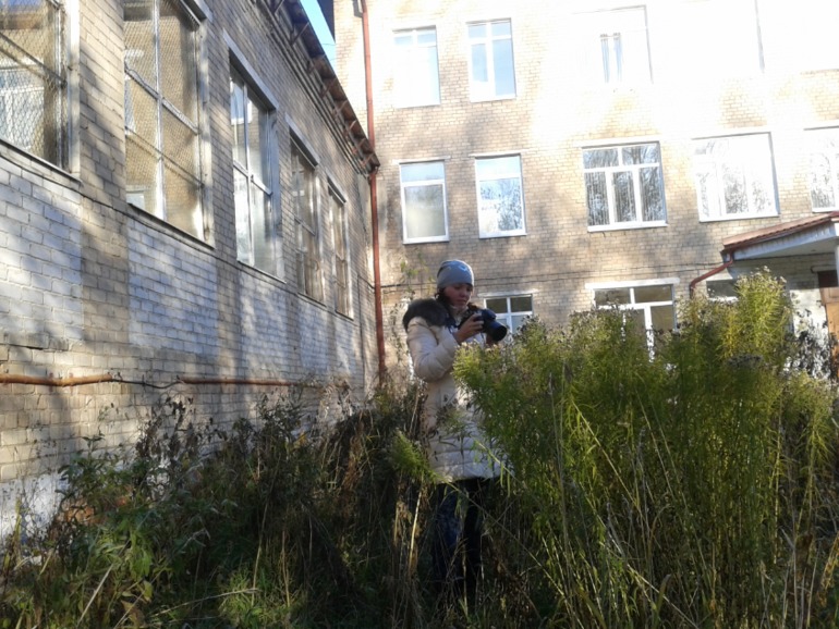 Мобильное)