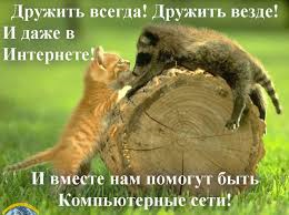 56aa52f1c7de35a0ed8c0ed3feab0eb5.png