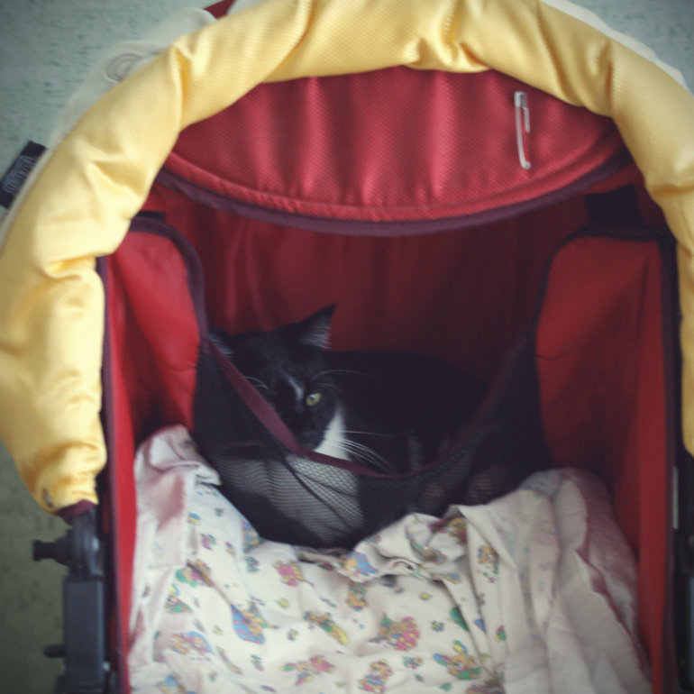 В коляску нельзя - в карман можно!