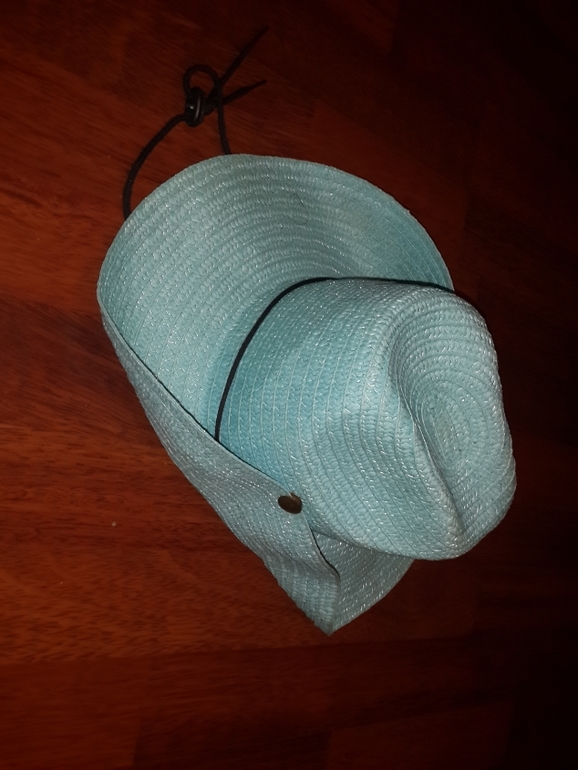 Шляпа с югов)))