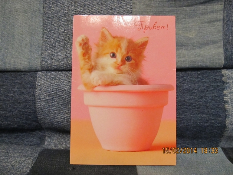 Современные открытки