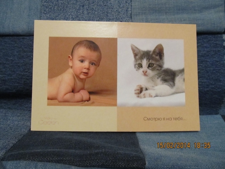 Современные открытки