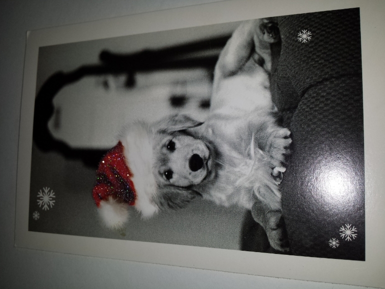 Современные открытки