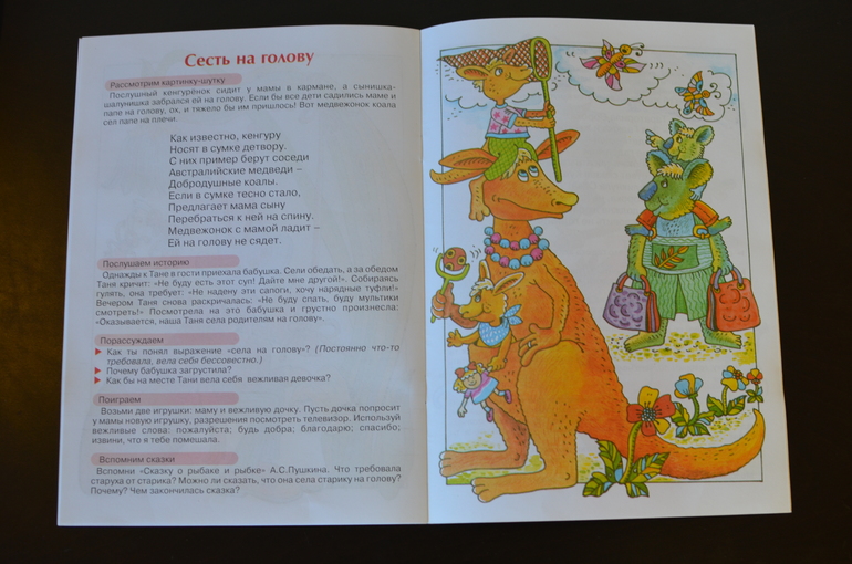 Знакомство с фразеологизмами. Для детей 5-7 лет. Карапуз